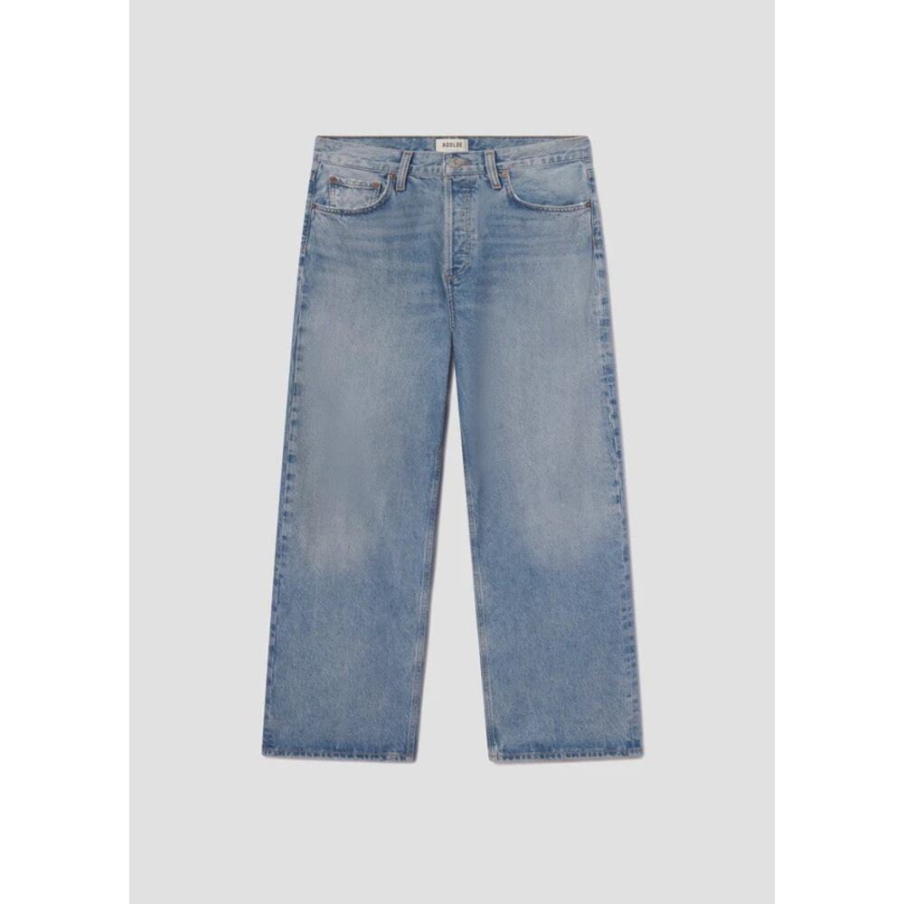 Agolde Low Slung Baggy Jeans in Libertine
